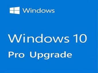 Windows 11 Professional dobozkép