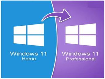Windows 11 Professional dobozkép